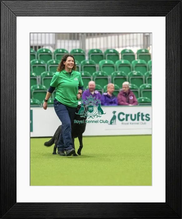 Framed Print : Obedience Class A (2) - Kellie McCaughan & Murphy (Northern Ireland), Crufts 2026 Obedience Class A (2) - Kellie McCaughan & Murphy (Northern Ireland), Crufts 2026 Framed Print : Obedience Class A (2) - Kellie McCaughan & Murphy (Northern Ireland), Crufts 2026 Obedience Class A (2) - Kellie McCaughan & Murphy (Northern Ireland), Crufts 2026