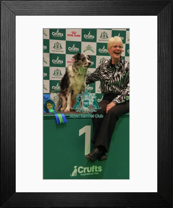 Framed Print : Obedience Championship Bitches Winner Podium - Crufts 2026 Obedience Championship Bitches Winner Podium - Crufts 2026 Framed Print : Obedience Championship Bitches Winner Podium - Crufts 2026 Obedience Championship Bitches Winner Podium - Crufts 2026