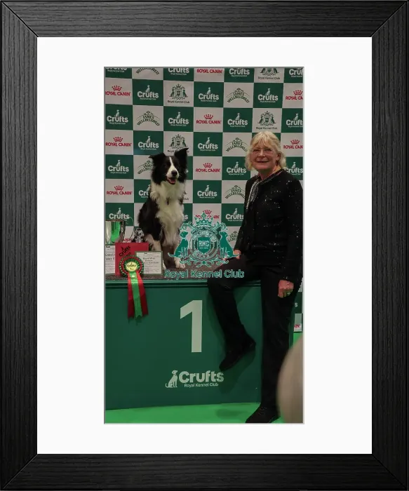 Framed Print : Obedience Championship Bitches Winner Podium - Crufts 2026 Obedience Championship Bitches Winner Podium - Crufts 2026 Framed Print : Obedience Championship Bitches Winner Podium - Crufts 2026 Obedience Championship Bitches Winner Podium - Crufts 2026