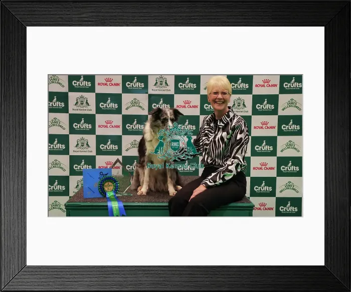 Framed Print : Obedience Championship Bitches Winner Podium - Crufts 2026 Obedience Championship Bitches Winner Podium - Crufts 2026 Framed Print : Obedience Championship Bitches Winner Podium - Crufts 2026 Obedience Championship Bitches Winner Podium - Crufts 2026
