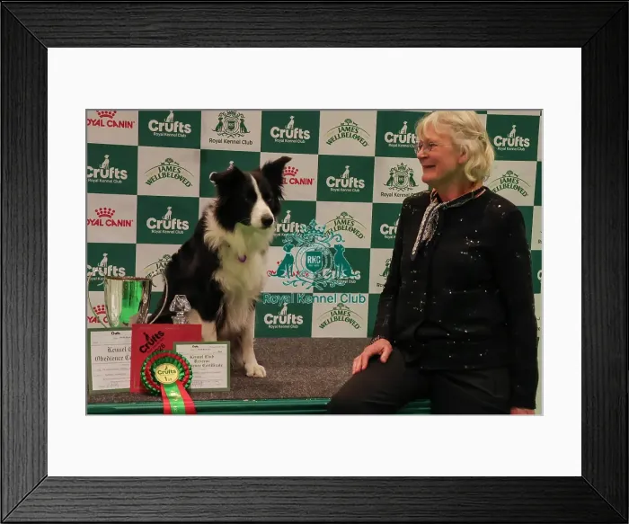 Framed Print : Obedience Championship Bitches Winner Podium - Crufts 2026 Obedience Championship Bitches Winner Podium - Crufts 2026 Framed Print : Obedience Championship Bitches Winner Podium - Crufts 2026 Obedience Championship Bitches Winner Podium - Crufts 2026