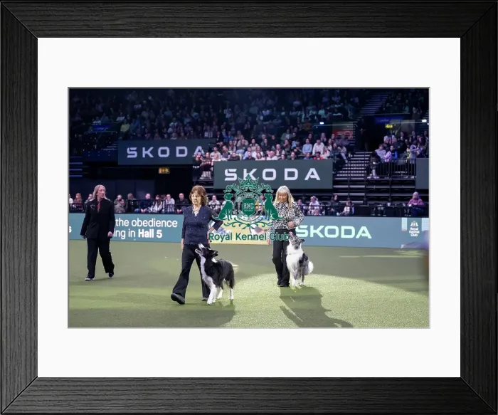 Framed Print : Obedience Champion Display