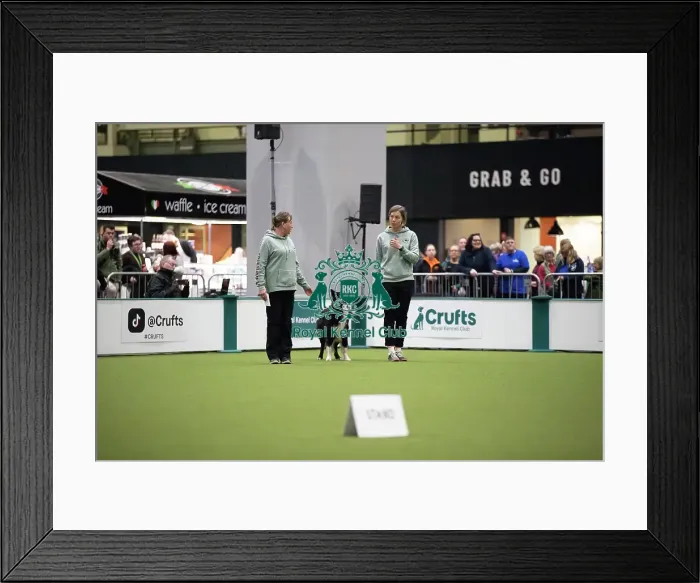 Framed Print : Crufts 2026 Obedience, RKC128187