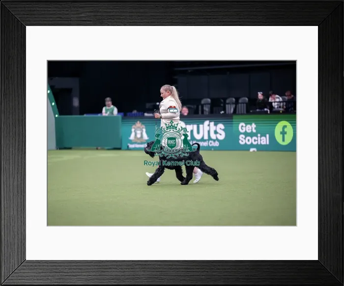 Framed Print : Junior Warrant Competition Final