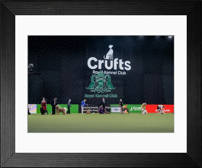 Framed Print : Junior Warrant Competition Final