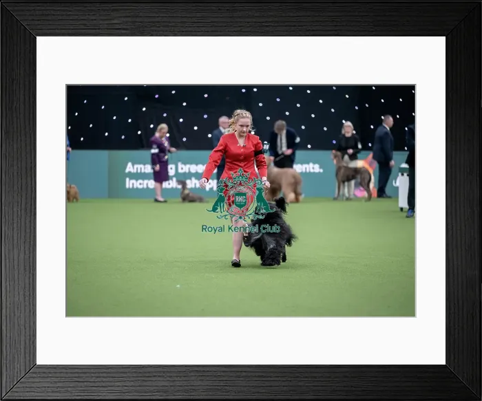 Framed Print : Junior Warrant Competition Final