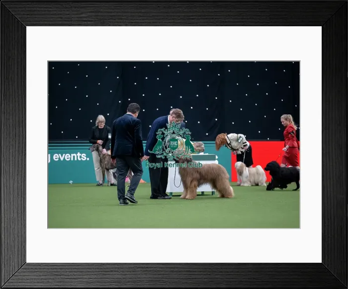 Framed Print : Junior Warrant Competition Final