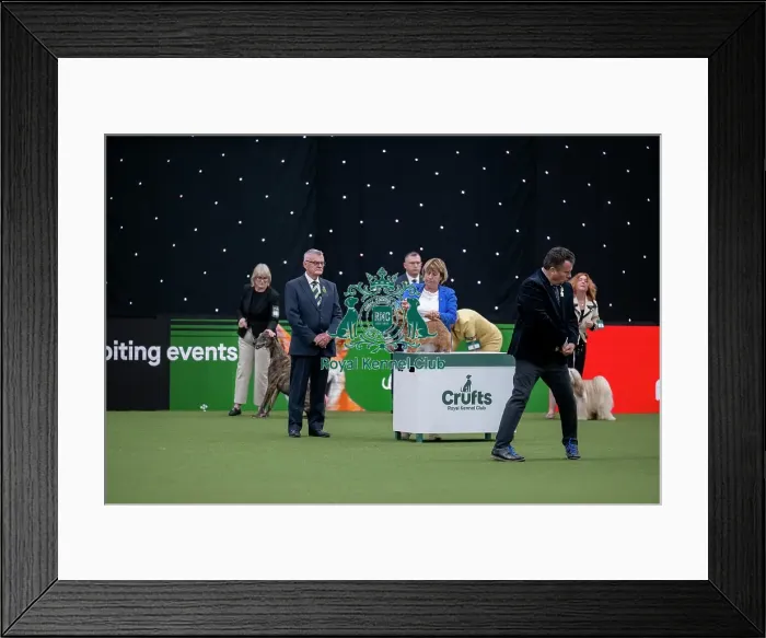Framed Print : Junior Warrant Competition Final