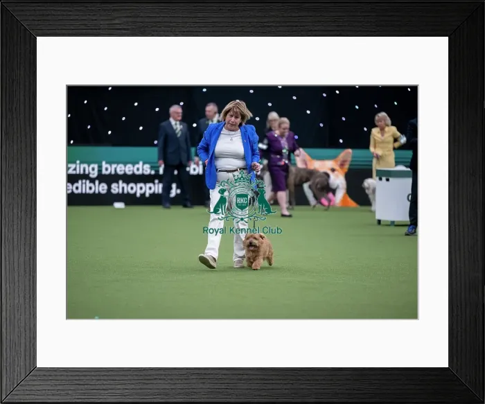 Framed Print : Junior Warrant Competition Final