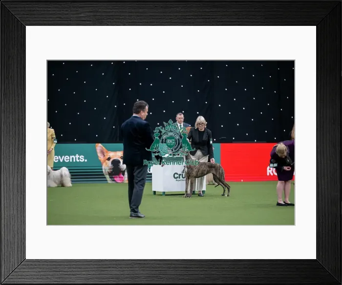 Framed Print : Junior Warrant Competition Final