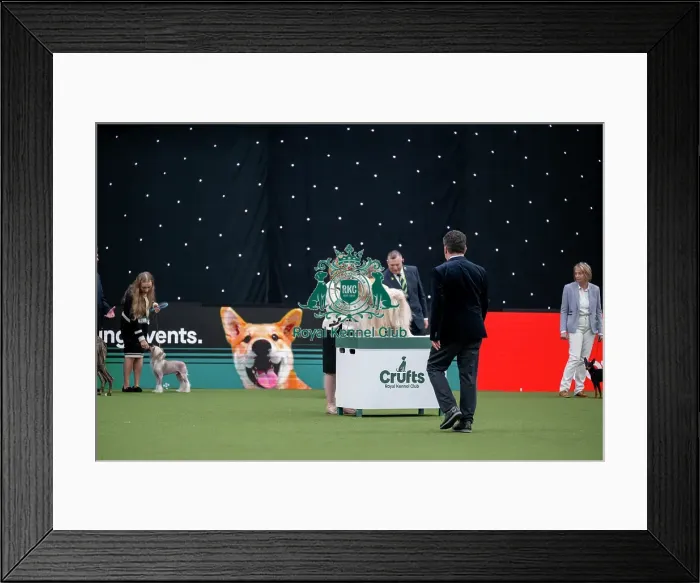 Framed Print : Junior Warrant Competition Final
