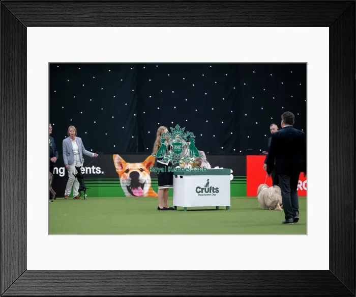 Framed Print : Junior Warrant Competition Final
