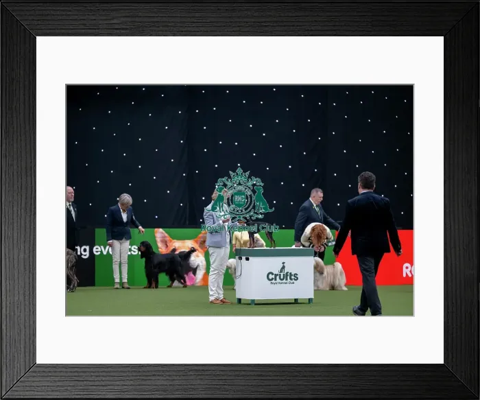 Framed Print : Junior Warrant Competition Final