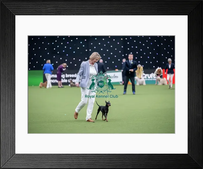 Framed Print : Junior Warrant Competition Final