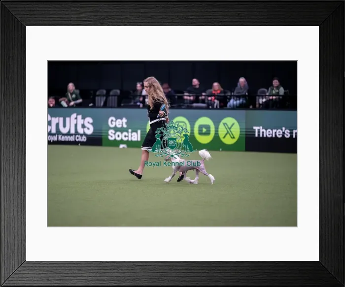 Framed Print : Junior Warrant Competition Final