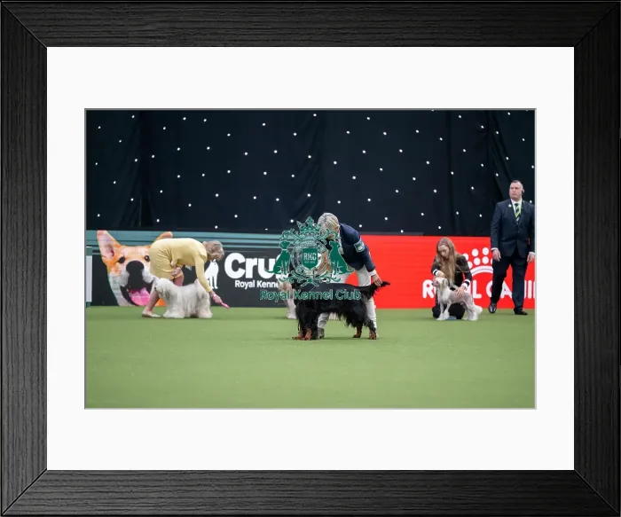 Framed Print : Junior Warrant Competition Final