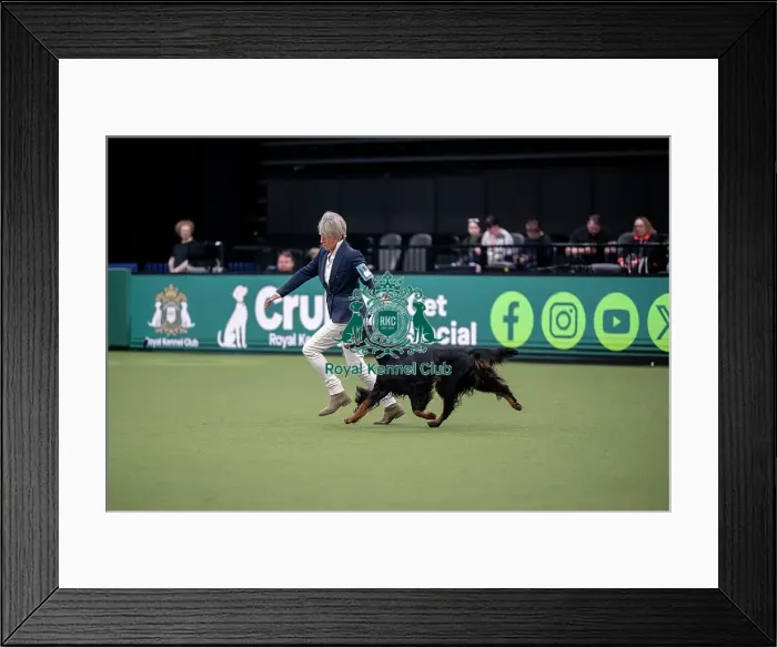 Framed Print : Junior Warrant Competition Final