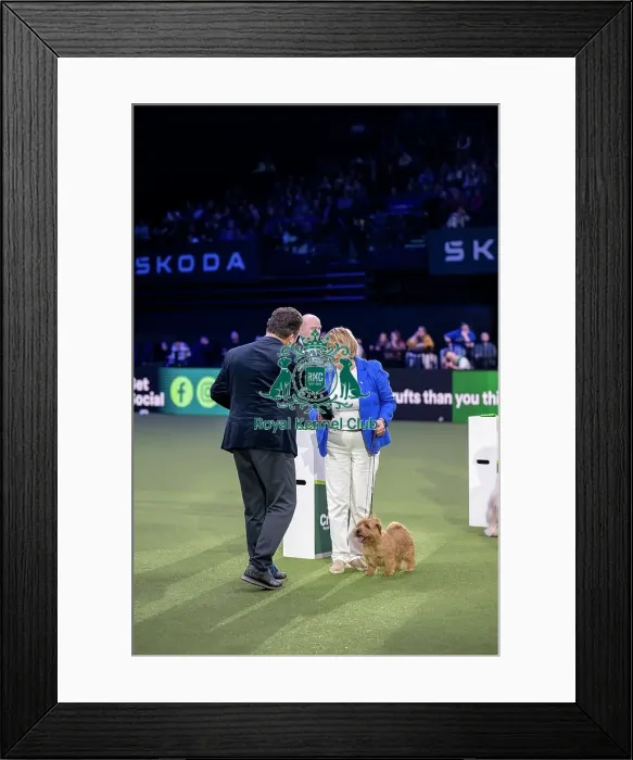 Framed Print : Junior Warrant Competition Final - winner