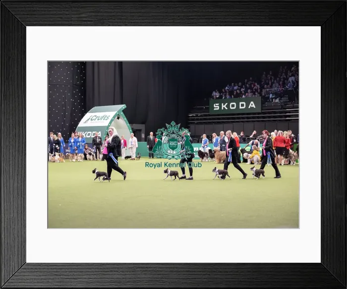Framed Print : Breeders Competition Final Framed Print : Breeders Competition Final