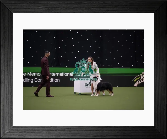 Framed Print : Joe Cartledge International Junior Handling Competition