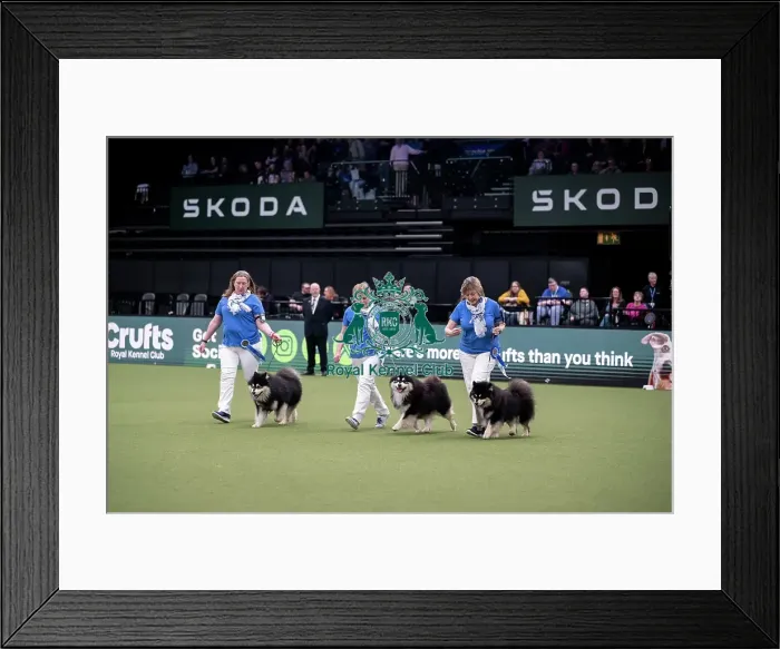 Framed Print : Breeders Competition Final Framed Print : Breeders Competition Final