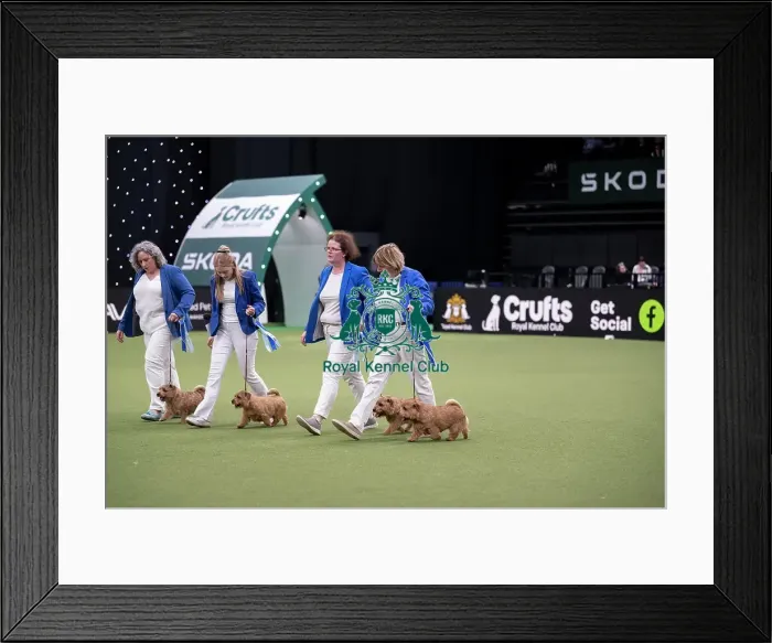 Framed Print : Breeders Competition Final Framed Print : Breeders Competition Final