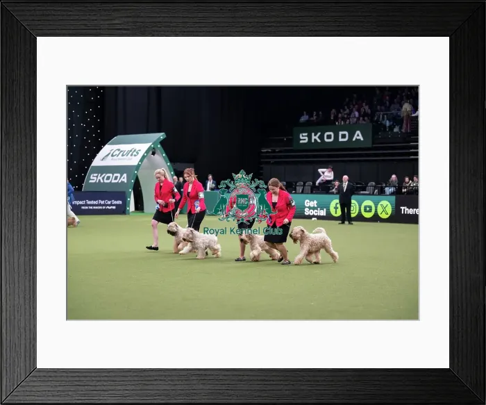 Framed Print : Breeders Competition Final Framed Print : Breeders Competition Final