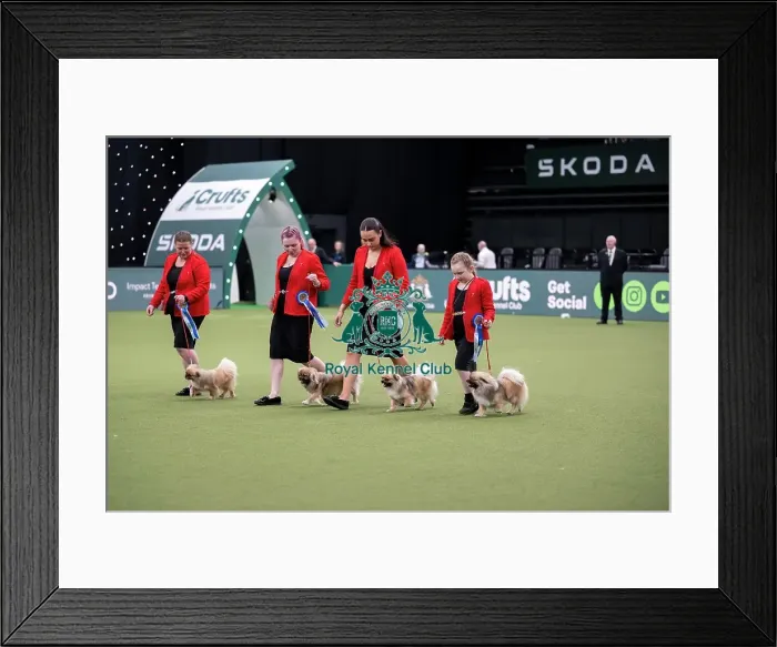 Framed Print : Breeders Competition Final Framed Print : Breeders Competition Final