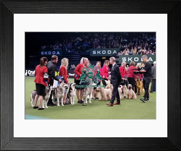 Framed Print : Breeders Competition Final - Winners Framed Print : Breeders Competition Final - Winners
