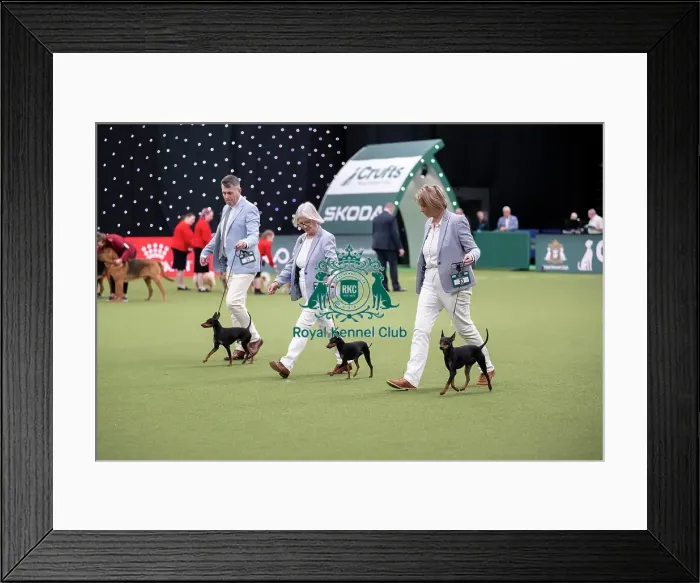 Framed Print : Breeders Competition Final Framed Print : Breeders Competition Final