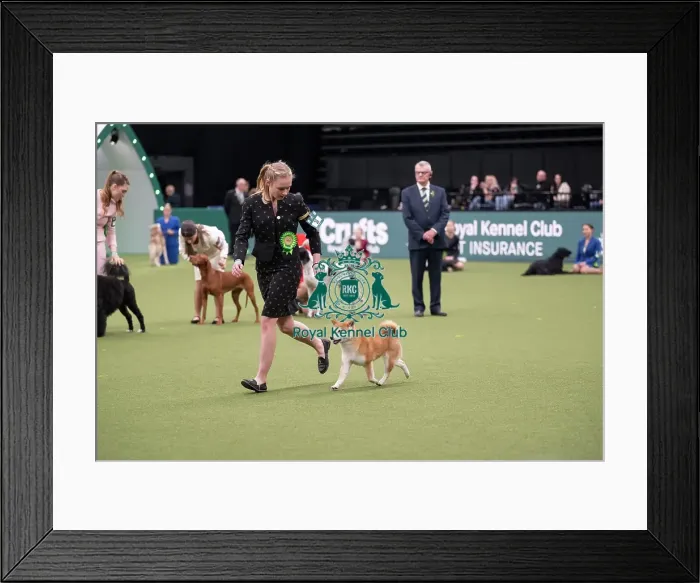 Framed Print : Joe Cartledge International Junior Handling Competition