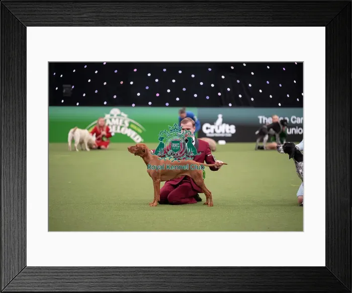Framed Print : Joe Cartledge International Junior Handling Competition