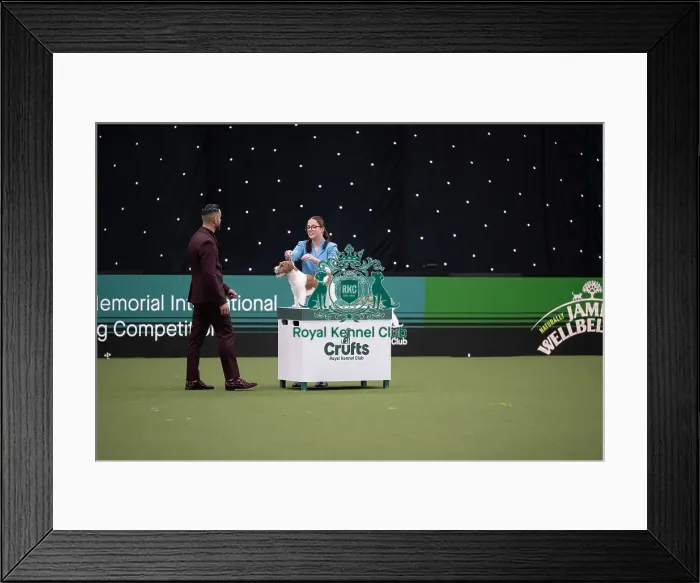 Framed Print : Joe Cartledge International Junior Handling Competition
