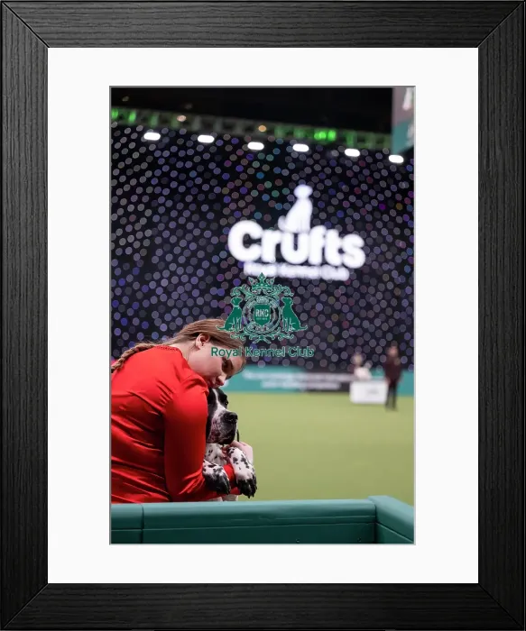 Framed Print : Joe Cartledge International Junior Handling Competition Framed Print : Joe Cartledge International Junior Handling Competition