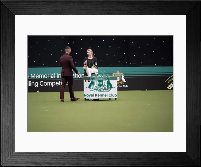Framed Print : Joe Cartledge International Junior Handling Competition