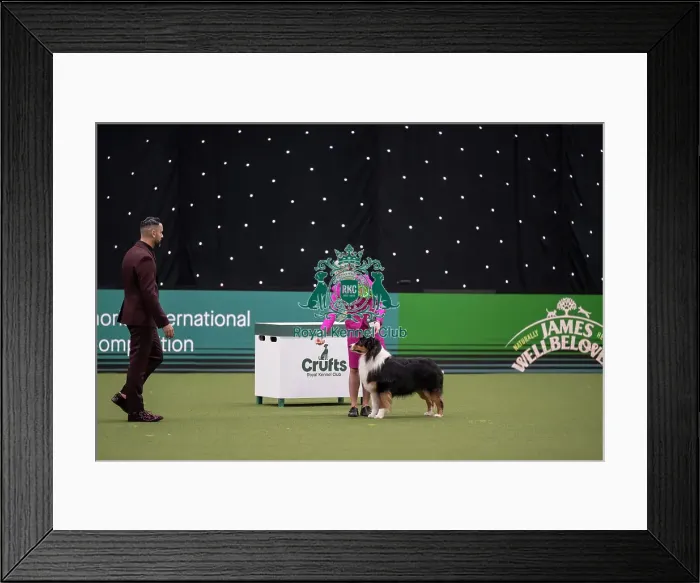 Framed Print : Joe Cartledge International Junior Handling Competition