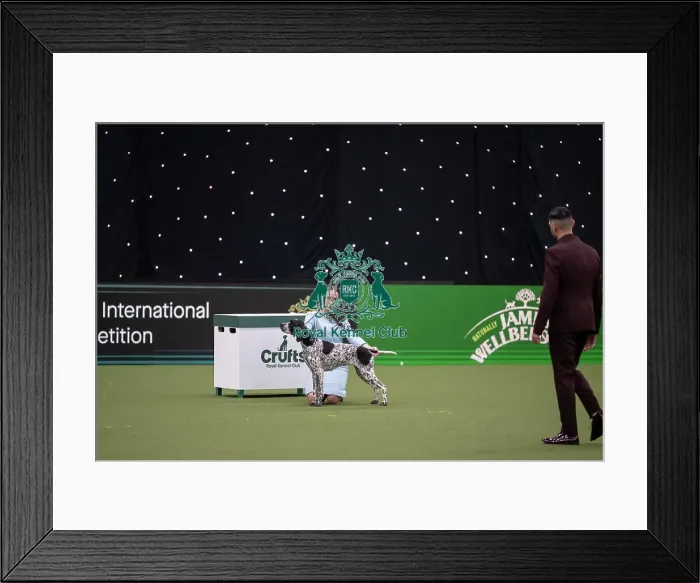 Framed Print : Joe Cartledge International Junior Handling Competition Framed Print : Joe Cartledge International Junior Handling Competition