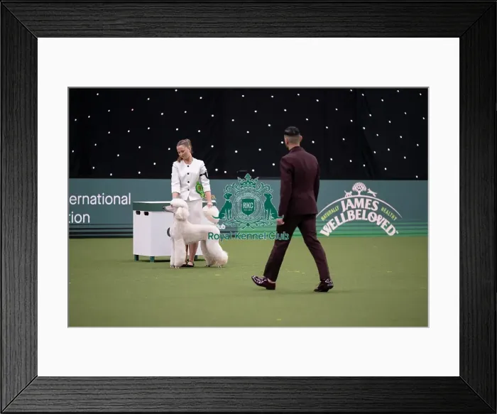 Framed Print : Joe Cartledge International Junior Handling Competition