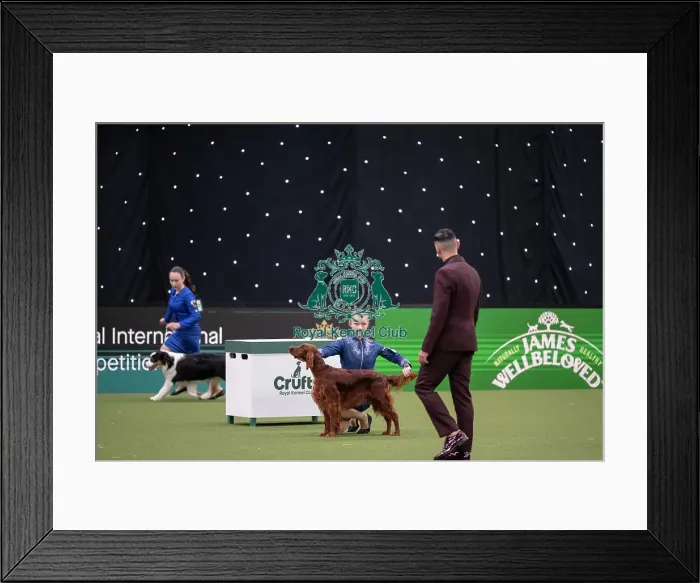 Framed Print : Joe Cartledge International Junior Handling Competition