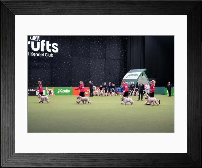 Framed Print : Breeders Competition Final Framed Print : Breeders Competition Final