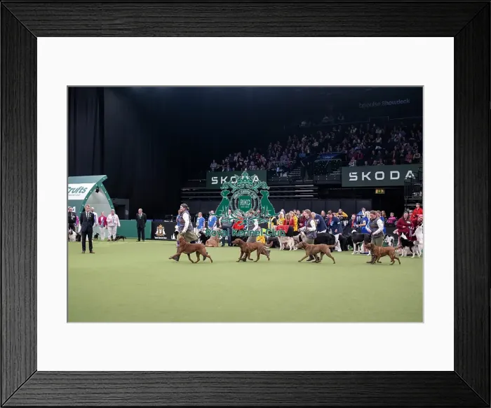 Framed Print : Breeders Competition Final Framed Print : Breeders Competition Final
