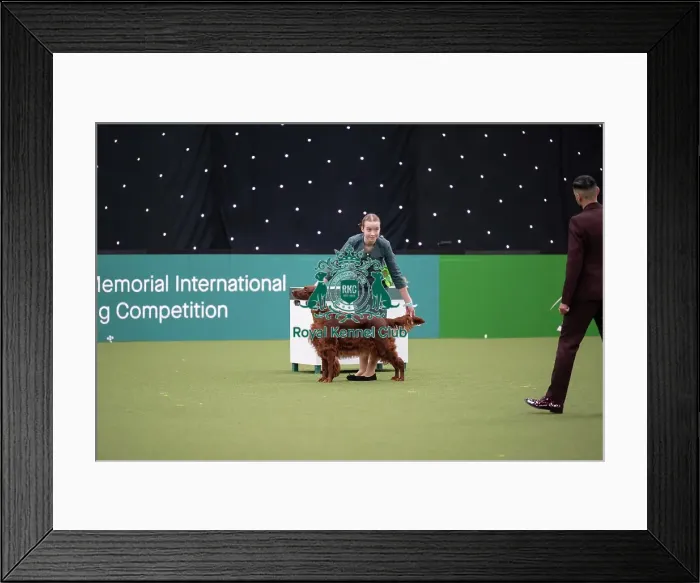 Framed Print : Joe Cartledge International Junior Handling Competition