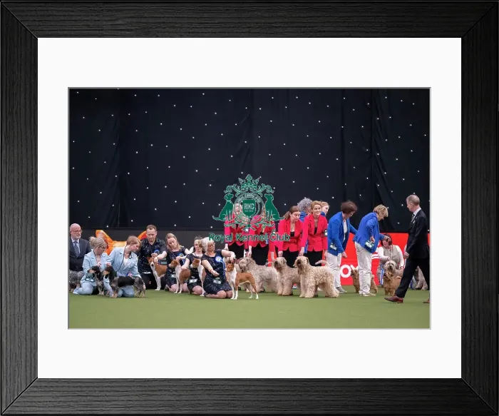 Framed Print : Breeders Competition Final