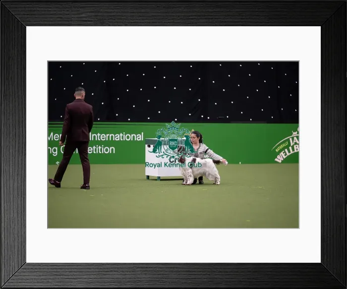 Framed Print : Joe Cartledge International Junior Handling Competition Framed Print : Joe Cartledge International Junior Handling Competition