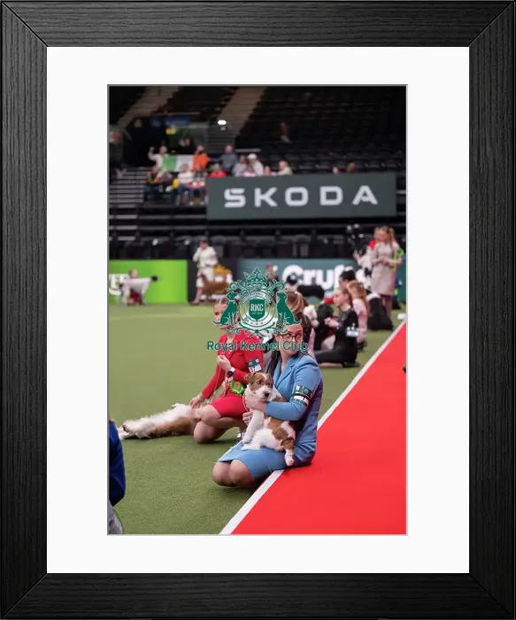 Framed Print : Joe Cartledge International Junior Handling Competition