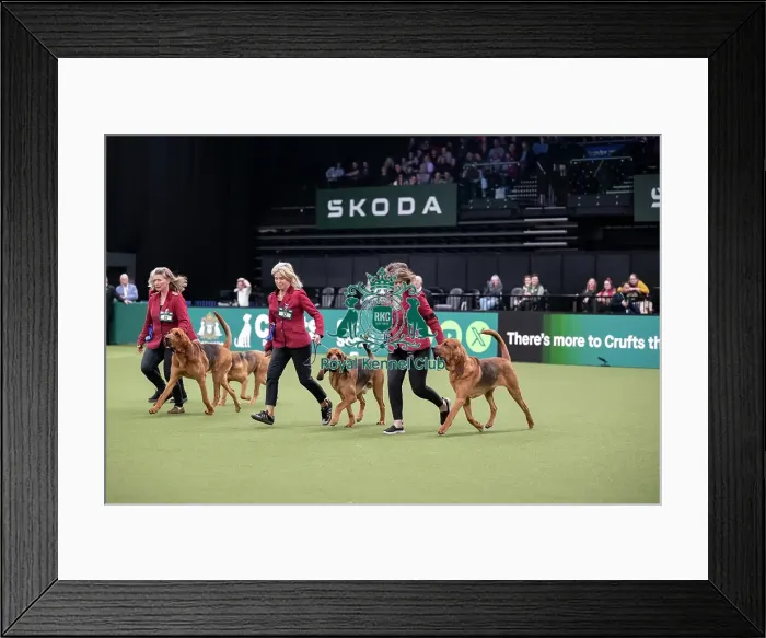 Framed Print : Breeders Competition Final