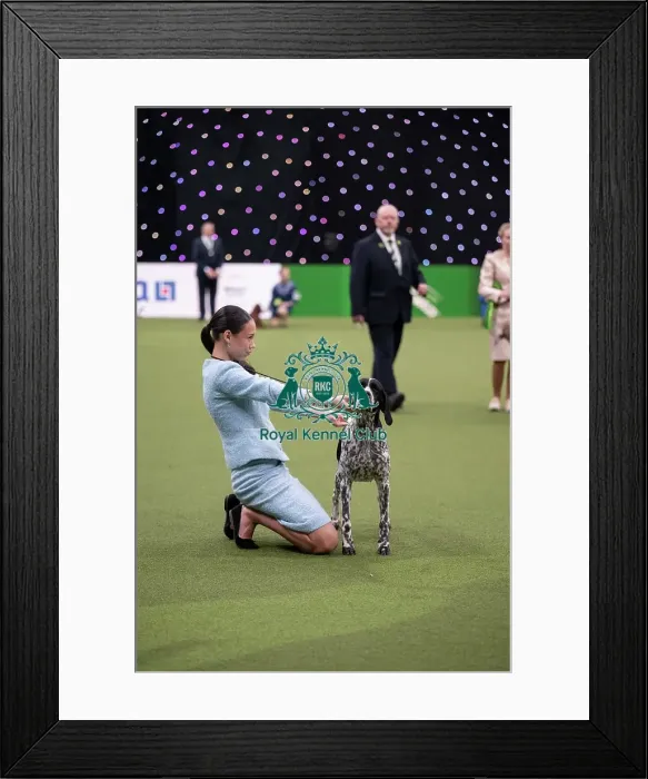 Framed Print : Joe Cartledge International Junior Handling Competition Framed Print : Joe Cartledge International Junior Handling Competition