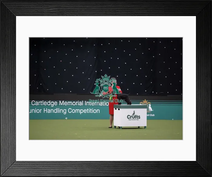 Framed Print : Joe Cartledge International Junior Handling Competition