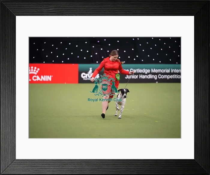 Framed Print : Joe Cartledge International Junior Handling Competition Framed Print : Joe Cartledge International Junior Handling Competition