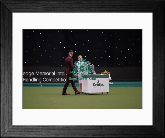 Framed Print : Joe Cartledge International Junior Handling Competition
